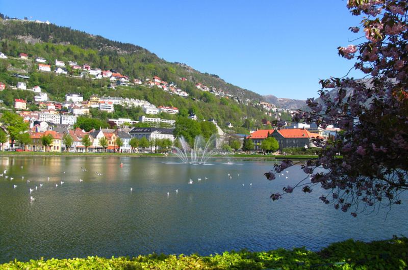 Bergen (2).jpg